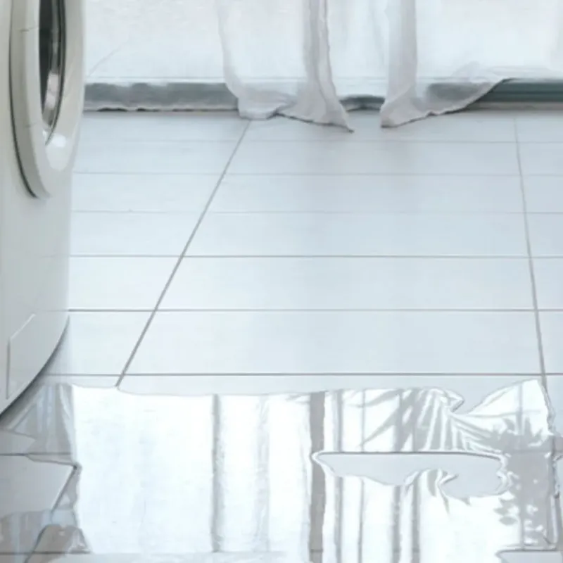 Appliance Leak Cleanup in Live Oak County, TX