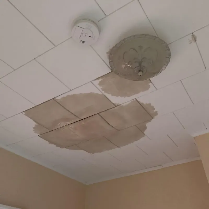 Ceiling Water Damage Repair in Live Oak County, TX