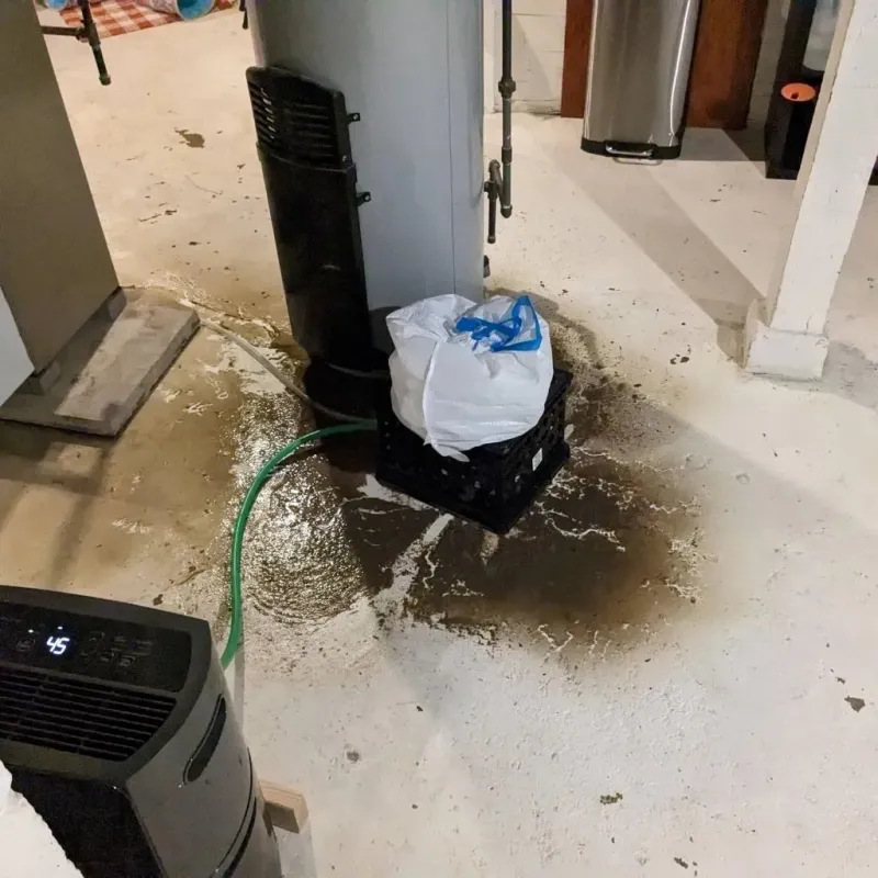 Sewage Backup Cleanup Service in Live Oak County, TX